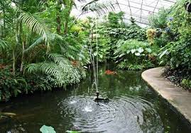 House Plants South Wales Park Cardiff