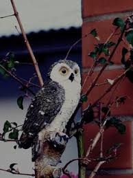 Marina Beatriz Vasco