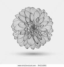 Abstract Floral Background Vector Flower Dahlia Element For Design Vector Flowers Floral Background Abstract Floral