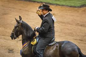 El widget de chrome que te permite hacer interferencias a tus videollamadas cuando te cansas de ellas. Five Things To Know About Paso Finos Us Equestrian