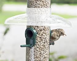 Did you scroll all this way to get facts about feeder rain cover? Products From Peckamix