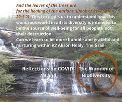 Faith Ecology Network