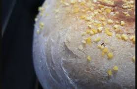 Nestor Et Les Muffins Anglais English Muffins Au Levain Gateau Courgette Courgette Pique Niques