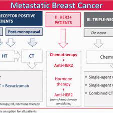 The longer ept is used, the higher the risk. General Treatment Regimens For Metastatic Breast Cancer Download Scientific Diagram