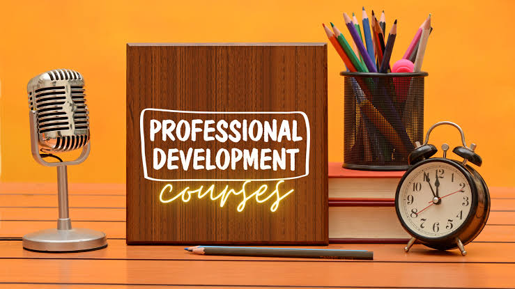 Professional Development Training