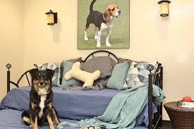 I hope you are having a good day. The Pawington The Bay Area S Pet Resort