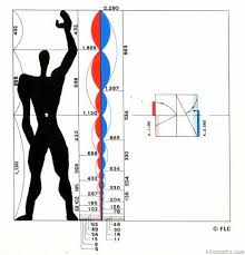 Résultat de recherche d'images pour "nombre d'or corps humain"