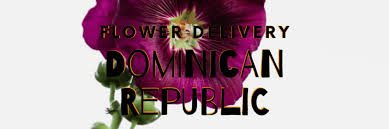 The island boasts 300 varieties of orchids and, depending on the area there are poincianas, royal palms, mangroves, pines and cedars. The 7 Best Options For Flower Delivery In Dominican Republic 2021