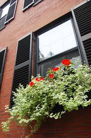 Refresh your windowsills with a seasonal selection of colourful plants. How To Have Beautiful Window Boxes Tips Advice New England Today