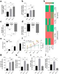 While this happens, the number of bones in the body is increasing. Role And Regulation Of Growth Plate Vascularization During Coupling With Osteogenesis In Tibial Dyschondroplasia Of Chickens Scientific Reports