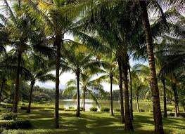 Le Meridien Shimei Bay Beach Resort Spa 5 Le Meridien Shimei Bay Beach Resort Spa Ccc Xinglong Botanical Garden Beach Resorts Resort Spa Resort