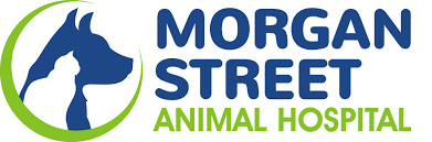 Morgan veterinary clinic pet products. Granbury Tx Veterinarian Morgan Street Animal Hospital Dr Gesell