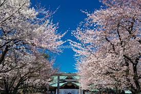 We did not find results for: é–å›½ç¥žç¤¾ã®æ¡œ å†™çœŸç´ æ 1896320 ãƒ•ã‚©ãƒˆãƒ©ã‚¤ãƒ–ãƒ©ãƒªãƒ¼ Photolibrary