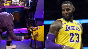 Born december 30, 1984) is an american professional basketball player for the los angeles lakers of the national basketball association (nba). The Goat S Name Is Michael Jordan Shannon Sharpe Brings In Live Goat With Lebron James Lakers Jersey On Undisputed The Sportsrush