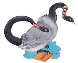 L Amphisbene Mythologie Grecque Heraldique Mythologie
