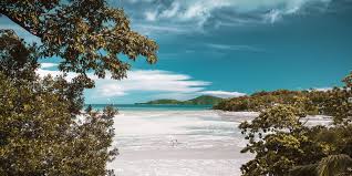 If you flip to the last three pages of the book there is a list of practical suggestion by the author to increase vagal tone and amping up the parasympathetic relaxing system. How Relaxing On The Beach In Phuket Can Benefit Your Mind Body Diamond Cliff Resort Spa