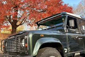 Image result for Autumn Brown 1993 SsangYong