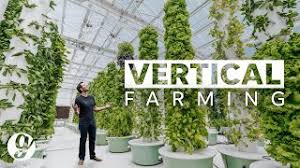 Our vertical garden is easy to install and comes with. Next Gen Farming Without Soil And 90 Less Water Grateful Youtube