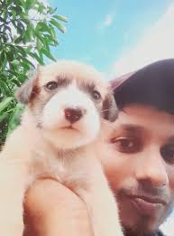 Be human and show compassion to voiceless animals