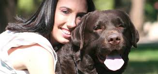 GCHB CH Quail Chase Broadway Joe Windfall