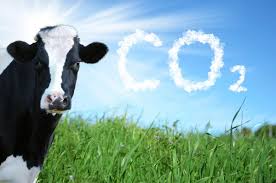 Hauseigentümerverband warnt vor einer massiven verteuerung des wohnens. Die Landwirtschaft Will Ihren Beitrag Leisten Der Sbv Sagt Ja Zum Co2 Gesetz Bauernzeitung