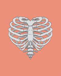 Heart Ribcage By Appendageaccessories On Etsy 10 00 Bone Drawing Heart Drawing Rib Cage