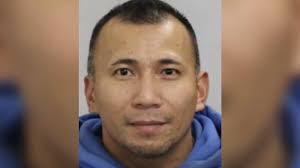 Anchorage woman kicked in the head by moose while walking her dog