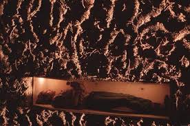 Image result for tbn:o4NVnTyfhfVOdM::tu.tv/imagenes/videos/m/i/miedo-y-escalofrio_imagenGrande.jpg