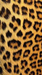 There are 63 leopard print pink wallpapers published on this page. Animal Print On Pinterest Leopard Print Wallpaper Iphone