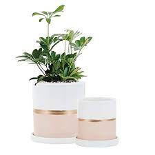 Made of ceramic but also featuring a natural wood texture, this pot from homenote is nothing but gorgeous and elegant. 5 5 And 4 6 Inch Set Of 2 Plant Pots Flowers Ceramic Planter Pots For Indoor Plants With Drainage Hole For All House Plant Snake Plant Succulent Flower Pot With Gold Detailing Planter