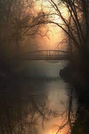 The Crossing A Foggy And Beautifully Mysterious Scene Along Furnace Run In The Cuyahoga Valley National Park Nature Pictures Nature Photography Scenery