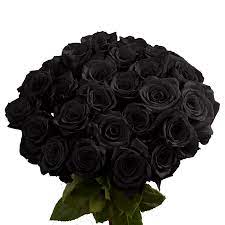Maybe you would like to learn more about one of these? 50 Black Roses Overnight Globalrose