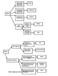 classification of sedimentary rocks lab and lesson plan