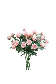 New zealand also placed an order for silk poppies with madame guerin's french children's league, but the shipment arrived too late to be worn for armistice day. Flower Fairy Lights For Bedroom 104 Products Themarket Nz