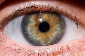 What Doctors Can Tell About Your Health Just By Looking In Your Eyes