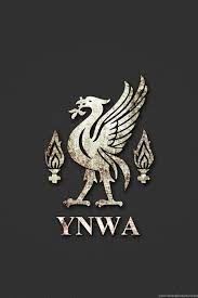Liverpool wallpapers football fc club hd badge s8 iphone players champions fans fussball cool pc soccer macbook liverpool fc wallpapers hd / desktop and mobile backgrounds. Liverpool Fc Wallpapers Collection 43 Desktop Background