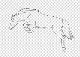 All the best mustang horse drawing 38+ collected on this page. Mustang Drawing Show Jumping How To Draw A Horse Line Shading Transparent Background Png Clipart Hiclipart