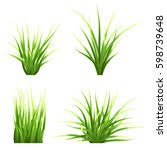 Maybe you would like to learn more about one of these? Tuft Of Grass Free Stock Photos Rgbstock Free Stock Images Crisderaud January 21 2010 329
