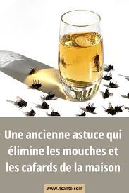 La Presence D 039 Insectes Dans Une Maison Cause Pas Mal De Nuisances Entre Les Defections Des Mo En 2020 Anti Mouche Maison Anti Moustique Maison Remede Anti Mouche