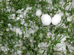 However, it should be noted that hail is produced by wind updrafts shooting raindrops higher into the atmosphere, where it freeze, before it falls to your roof. Mrcc Living With Weather Hail