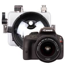 200dlm C Underwater Housing And Canon Rebel Sl1 Camera Kit Ikelite