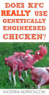 Does Kfc Really Use Genetically Engineered Chicken Ancestral Nutrition Holistic Nutrition Genetics