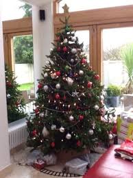 Bringing you behind the scenes and exclusive pictures of all things creative throughout our brown thomas stores. 7ft Brown Thomas Xmas Tree Http Www Adverts Ie 6848817 Xmas Tree Christmas Tree Stand Tree