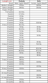 Mastiff Puppy Growth Chart Goldenacresdogs Com