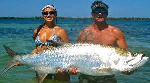 Is tarpon good to eat? Florida Fish And Wildlife Says Knowing How To Catch A Giant Tarpon Is Half The Battle