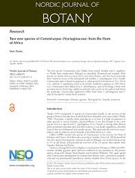 Image result for Commicarpus pedunculosus