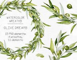 Watercolor Olive Wreaths And Elements Branches Olives Clip Etsy In 2020 Olive Wreath Eco Wedding How To Draw Hands