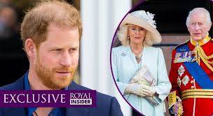 Secret cost of Prince Harry's security court case for UK taxpayers