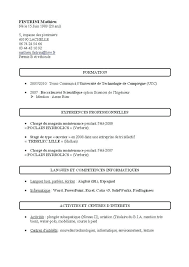 Resultat De Recherche D Images Pour Modele Cv Simple Exemple De Cv Simple Cv Simple Exemple Cv