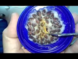 Check spelling or type a new query. How To Grow An Apple Tree From Seed Youtube